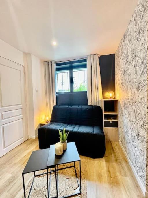 Le Studio Du Port Châteauneuf-sur-Loire Kültér fotó